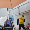 스팀코리아 이미지