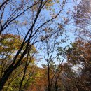 코코호도장안점 이미지