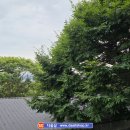 모곡다올타운 이미지