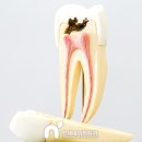 설만경로당 이미지