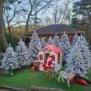 망월로 | [의정부] 나크타카페 앨리스 컨셉 방문후기+크리스마스 기대감