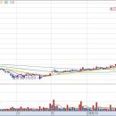 급등주 차트들 ㄷㄷㄷ 이미지