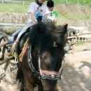 일광자동차공업사 이미지