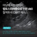 인수메디칼 | [메이, 치료후기] 강아지 렙토스피라증으로 인한 급성신부전 (AKI), 혈액투석 CRRT 치료 케이스