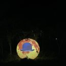 예쁜이모집 이미지