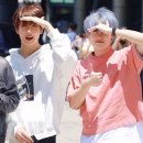 쌀강아지 이미지