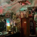 자유로운 사색가 이미지