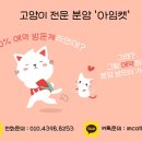 수원고양이전문분양 아임캣 (I'M CAT) 이미지