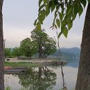 맹자에게 배우는 진심 이미지