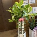 [연극추천] 압구정에서 연극을? 👉19금 연극 카사노바 내돈내산 솔직 관람후기💕