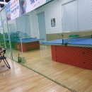 금산탁구교실 이미지