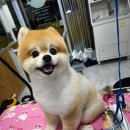 멍뷰티샵 이미지