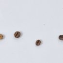 핸드드립커피교실 이미지