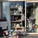 삼안로 | 김해 양모인형 원데이클래스 김해 공방 추천 쪼선생펫아트