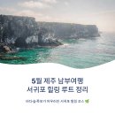 제주위미농업협동조합신례지점 | 5월 제주 남부여행 서귀포 힐링 루트 정리