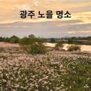 영산강서창들녘억새길 | [광주] 서창 억새 축제 - 노을 명소 추천 (산책/ 데이트)