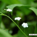 천안베스트간호학원