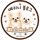 온천천로 | [부산 온천천] 데이트하기 딱 좋은 애견 동반 가능 양식 맛집 "암파스타레" 내 돈 내산 찐 만족 후기