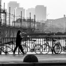 주식회사경남부동산중개법인 이미지