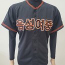 음성여자중학교 이미지