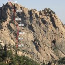 한동향기 이미지