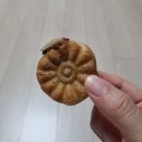 기쁨온누리약국 | 11월 둘째 주, 대연례행사 김장하기, 소비의 주