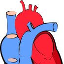 심정형외과의원 이미지