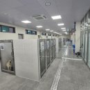 애니멀케어 이미지