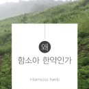 원주함소아한의원 이미지