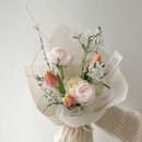 온화앤유 이미지