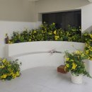 굿뉴스42 | 위주 웨딩 스튜디오] 로라스튜디오 서울 촬영 영상, 사진셀렉 후기 (feat. 그리너리 스튜디오 선택과정)