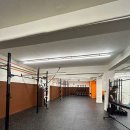 크로스핏 코알라 이미지