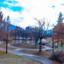 청계산수변공원 이미지