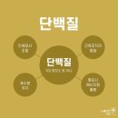 디클리셰 피트니스 이미지