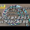 애견＆만들기