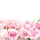 연세이비인후과 이미지