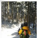 금곡삼거리식당 이미지