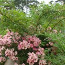 도영 농장 이미지