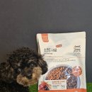 글로벌 소프트 | 쿠팡템 강아지사료 추천 소프트사료 노령견에게 특히 좋은 무마진 반습식사료 급여 후기