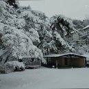 CU 홍천연봉점 이미지