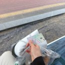 도담 | 26년 봄의 인연들