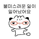 주식회사 진짜녀석들