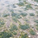 노을 그린 바다 펜션 이미지