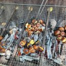 후평숲속유치원 이미지