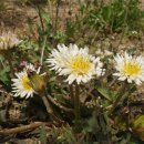 논두렁밭두렁 이미지