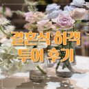 서울 더링크호텔 가든홀/군산 호텔은파팰리스 벨라지오홀 /광주 까사디루체 안젤로홀 다녀온 개인적인 후기