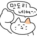 퀴즈노스부산서구 이미지