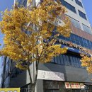 비전5로 | 평택 한정식 꽃다온 코스 후기, 제철 음식으로 만들어진 정갈한 한상