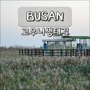 ▣ 다대포:- 2026년도 봄철야유회 &amp; 재부 강구 초중고 동창회 이미지