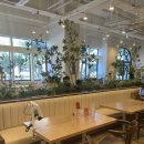 중앙로182번길 | 광주 첨단 브런치 양식 맛집인 리브베 첨단본점 내돈내산 후기